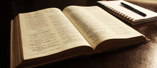 Como os Fatores Textuais Influenciam o Ranqueamento do Seu Site